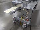 2011 Delta Horizontal Flow Wrapper
